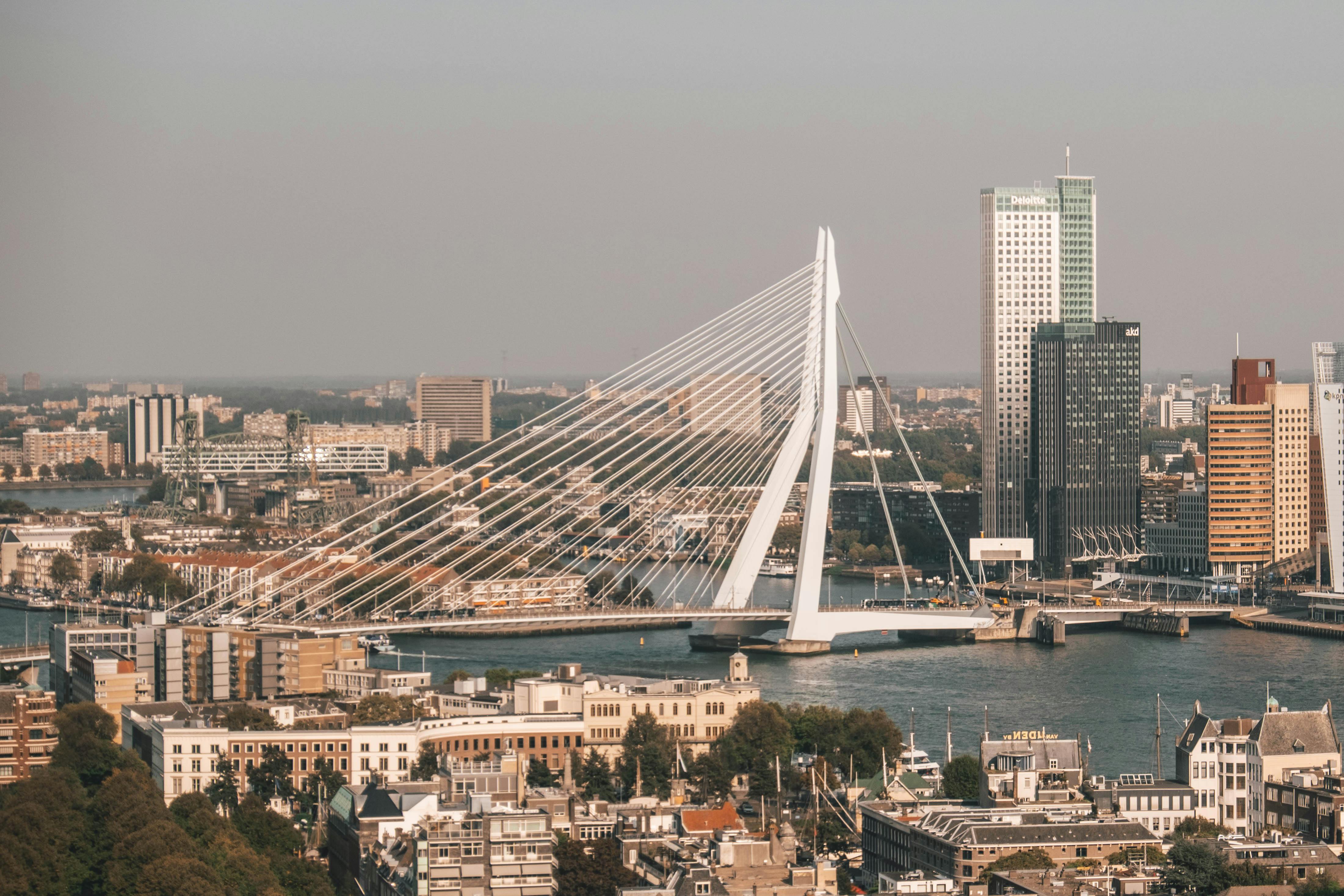 Rotterdam City